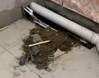 丹凤卫生间漏水检测哪家好