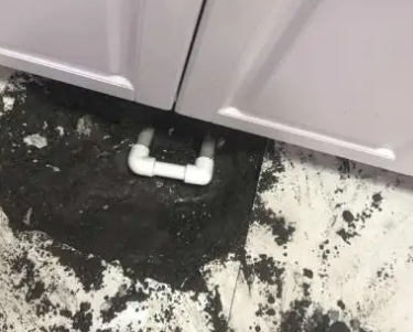 丹凤查漏水哪家好