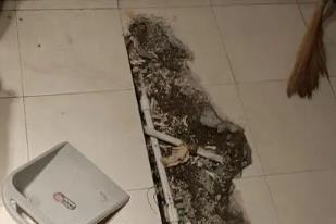 丹凤卫生间漏水检测电话